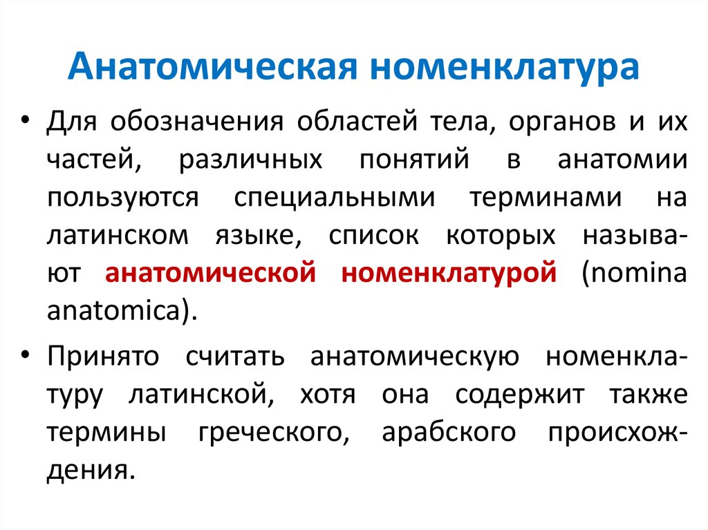 Анатомическая терминология. Анатомическая номенклатура. Базельская анатомическая номенклатура. Анатомическая номенклатура анатомия. Анатомия номенклатура кратко.