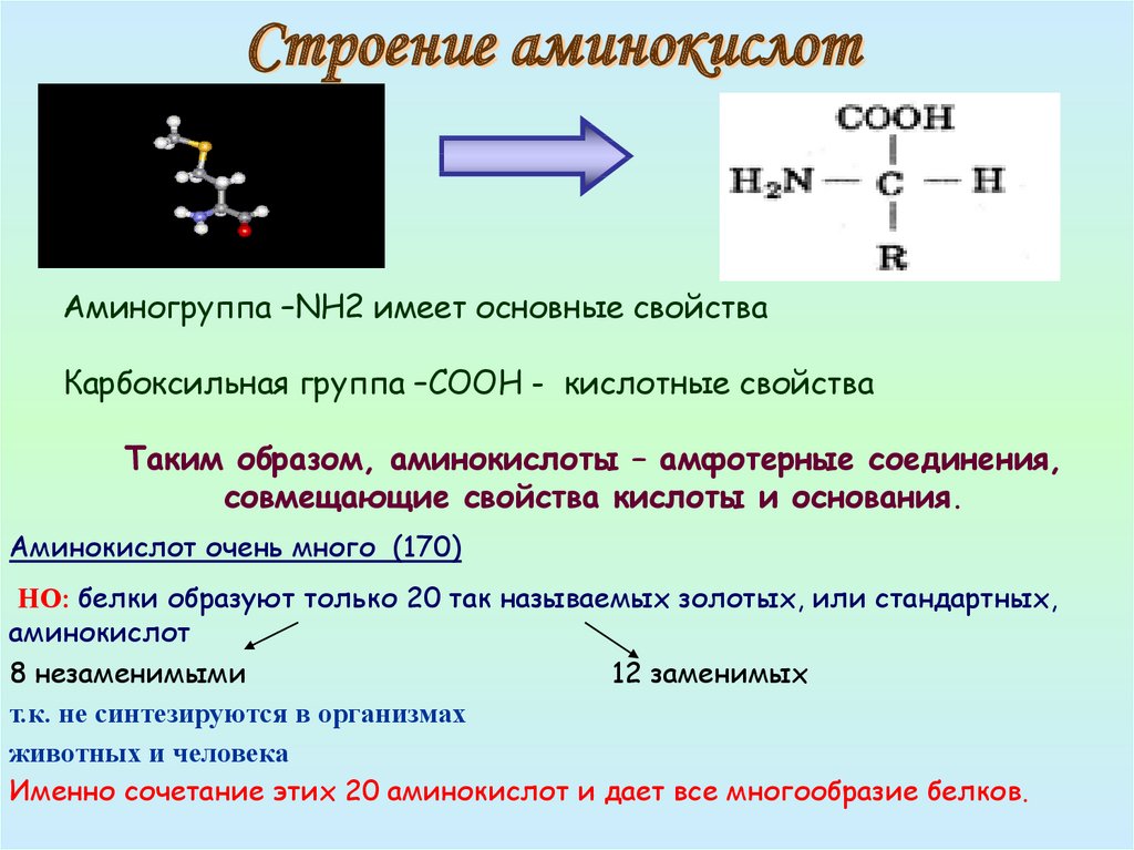 Сбалансированный состав белков