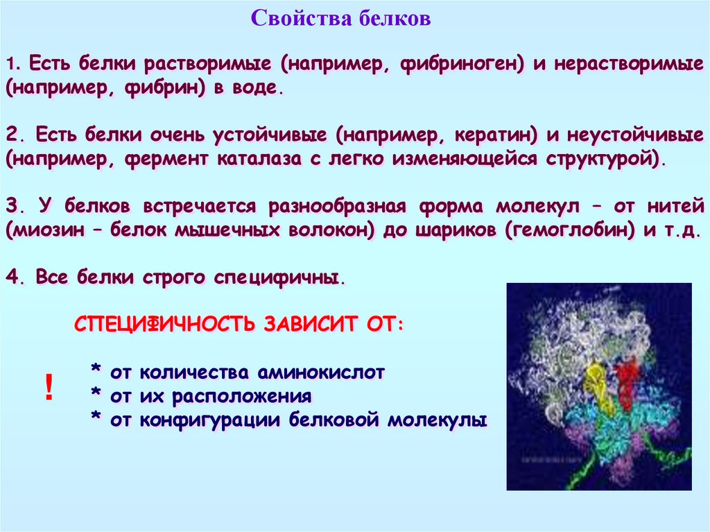 Свойства белка кратко. Физико химические свойства белка. Свойства белков. Физико-химические свойства белков. Электрические свойства белков.