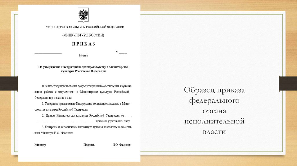 Приказы органы власти. Приказы федеральных органов исполнительной власти. Приказ органа исполнительной власти. Приказ орган власти. Приказы федеральных органов исполнительной власти примеры.