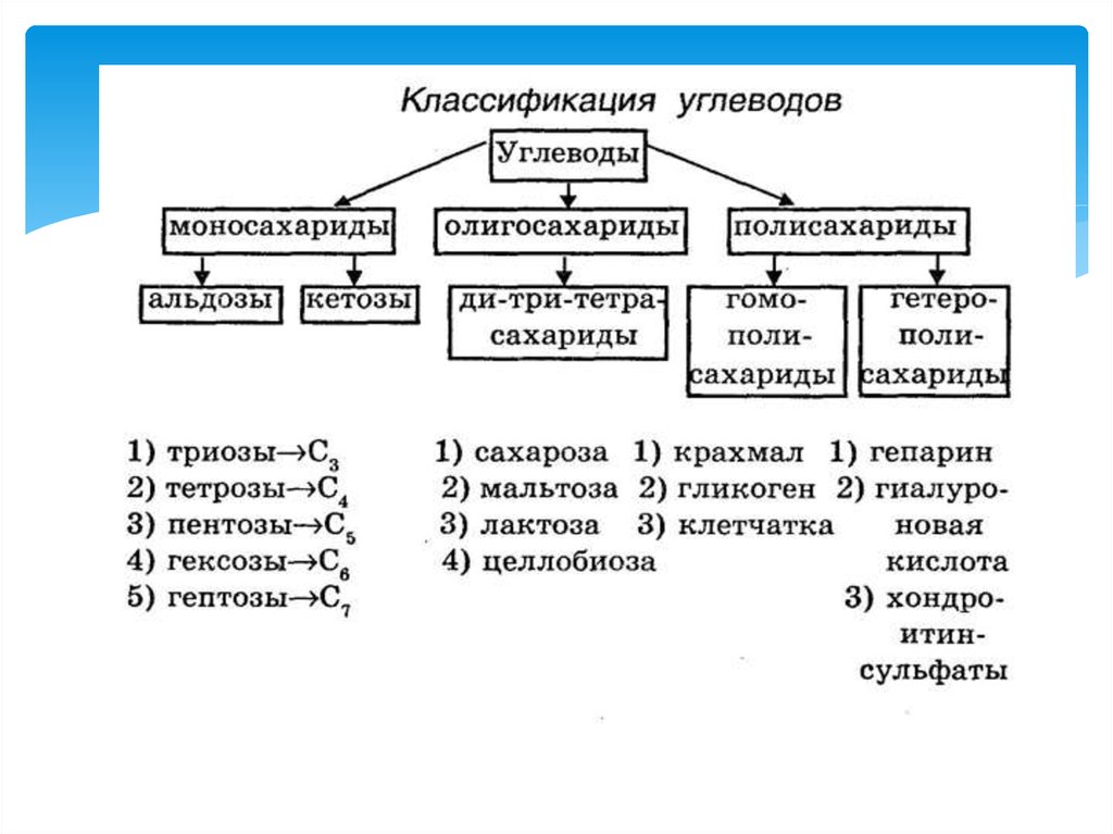 Углеводы план урока