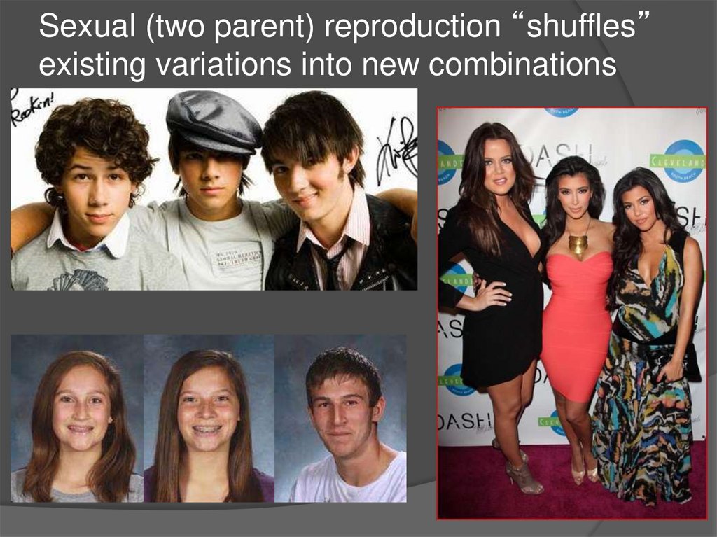 Sexual (two parent) reproduction “shuffles” existing variations into new combinations