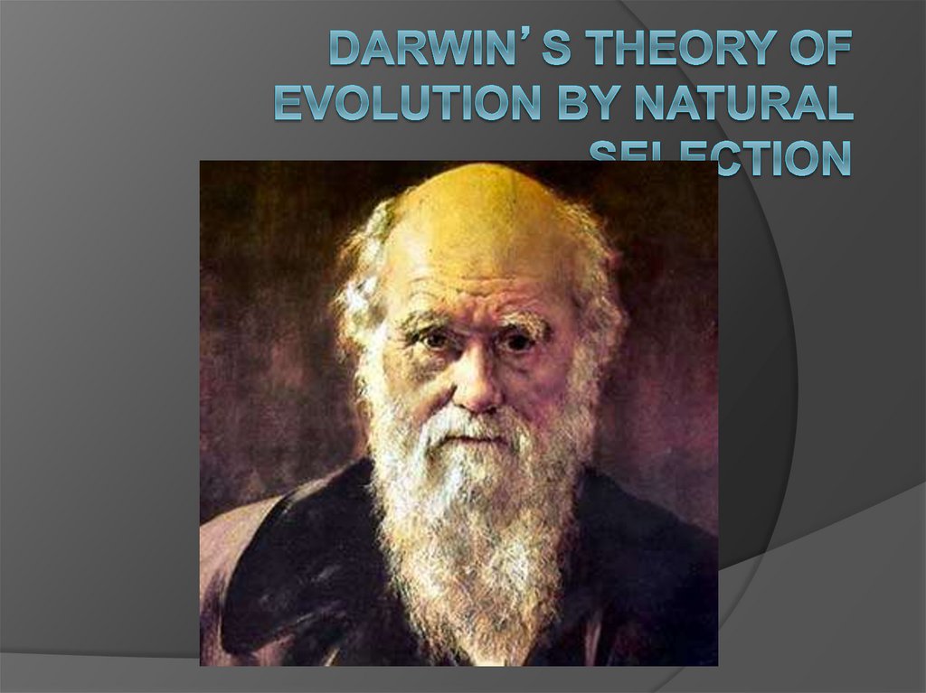 Darwin’s Theory of Evolution by Natural Selection