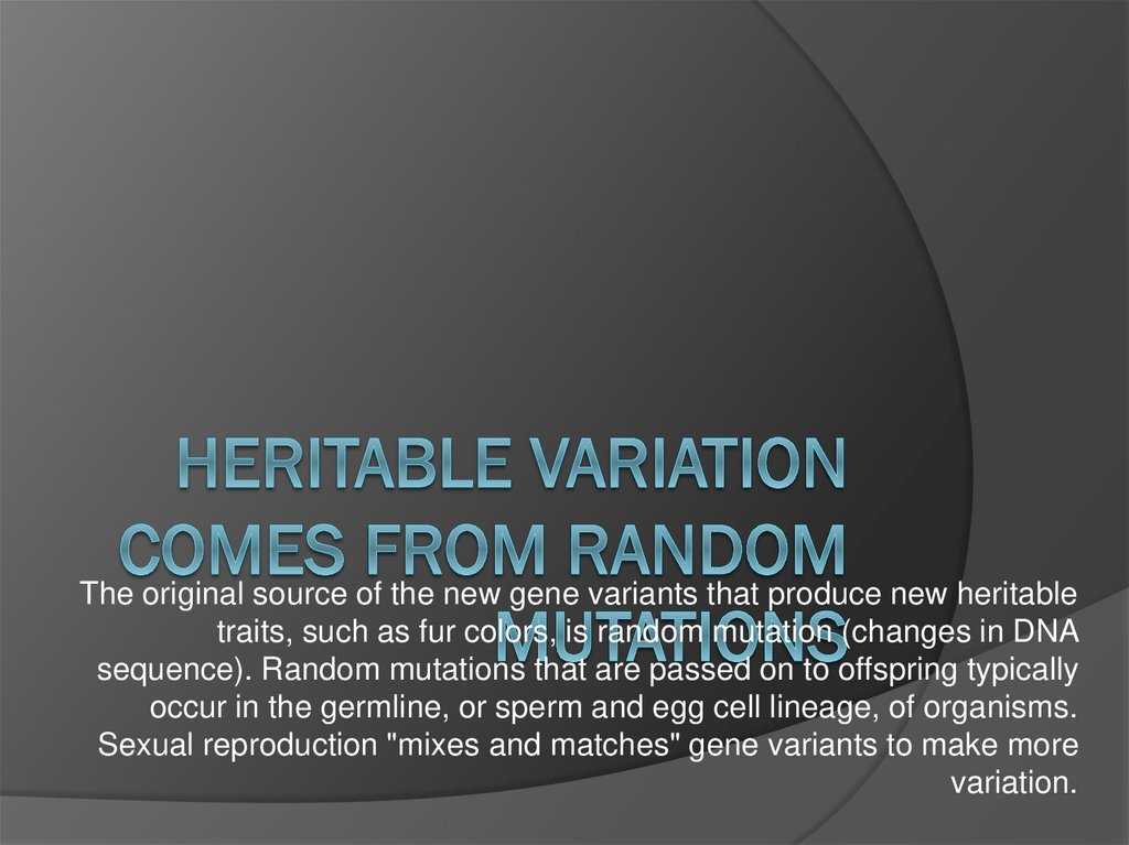 Heritable variation comes from random mutations