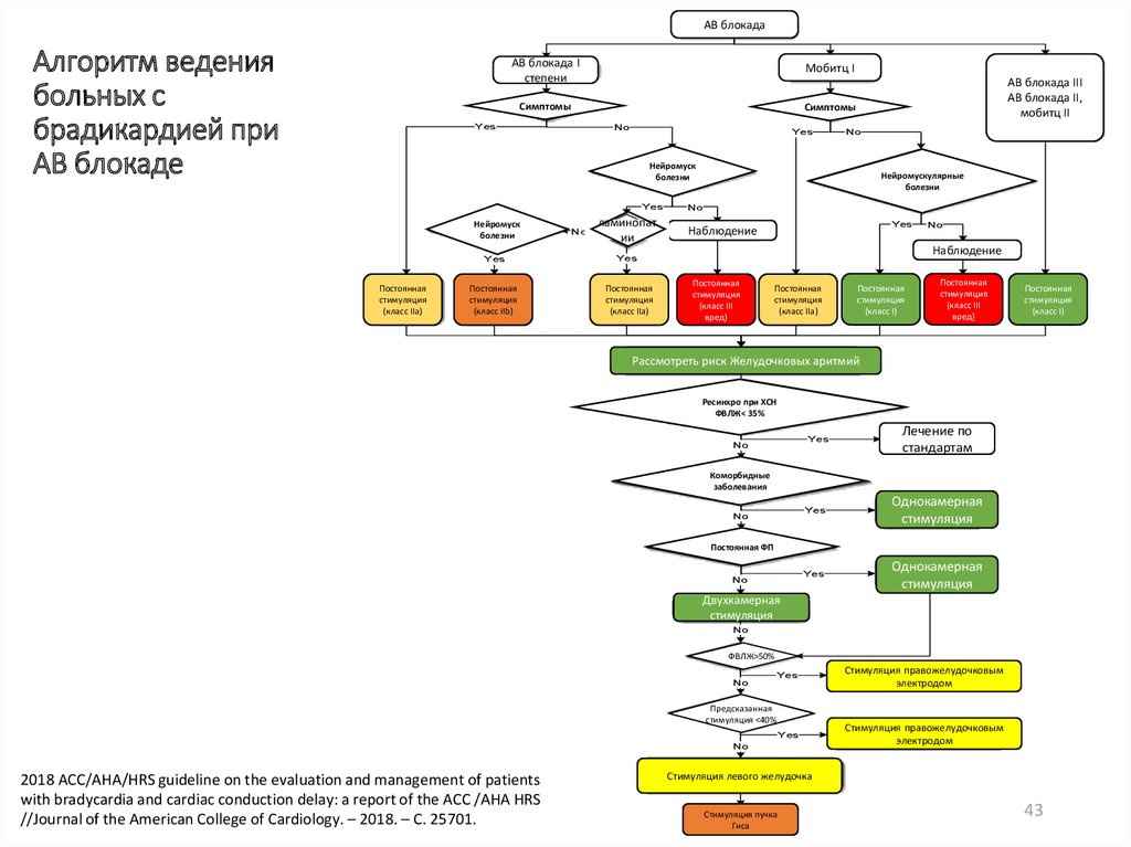 Алгоритмы ведения. Алгоритм ведения пациентов с гастритами. Тактика ведения пациента с брадикардией. Алгоритм при брадикардии. Брадиаритмии патогенез.