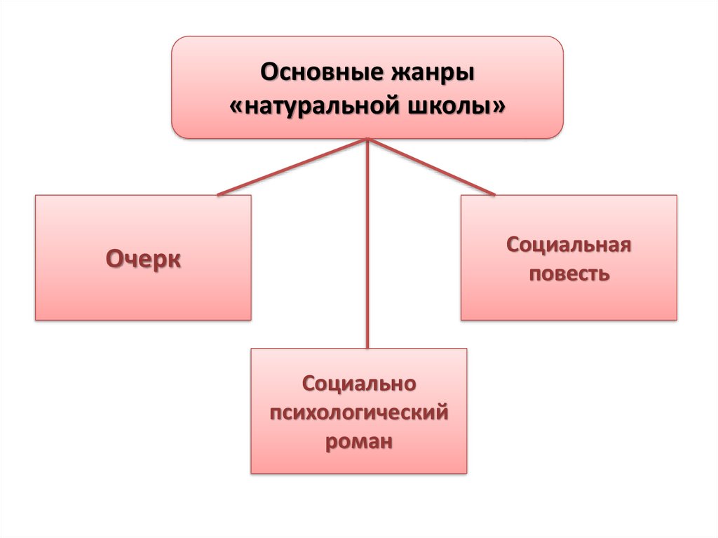 Натуральная школа в русской литературе. Основные Жанры натуральной школы. Натуральная школа в литературе 19 века. Принципы натуральной школы в литературе.