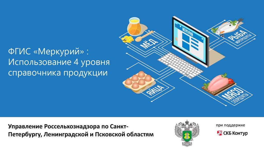 Фгис меркурий презентация