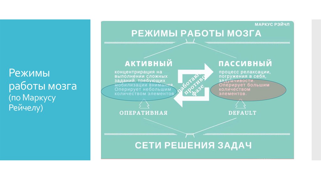 Нерс активные темы. Режимы работы мозга. Сеть пассивного режима работы мозга. Пассивный режим работы мозга. Три режима работы мозга.