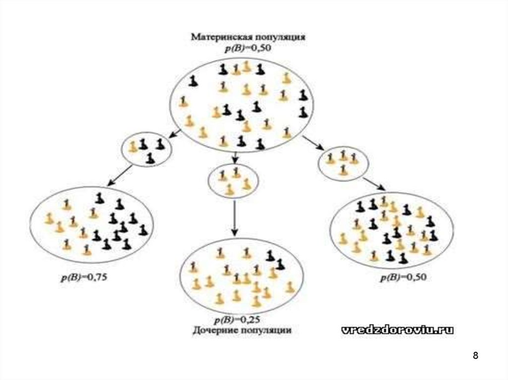 Что такое генетическая структура популяции