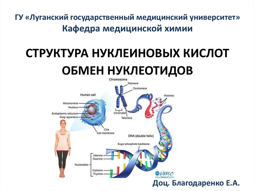 ГУ «Луганский государственный медицинский университет» Кафедра медицинской химии