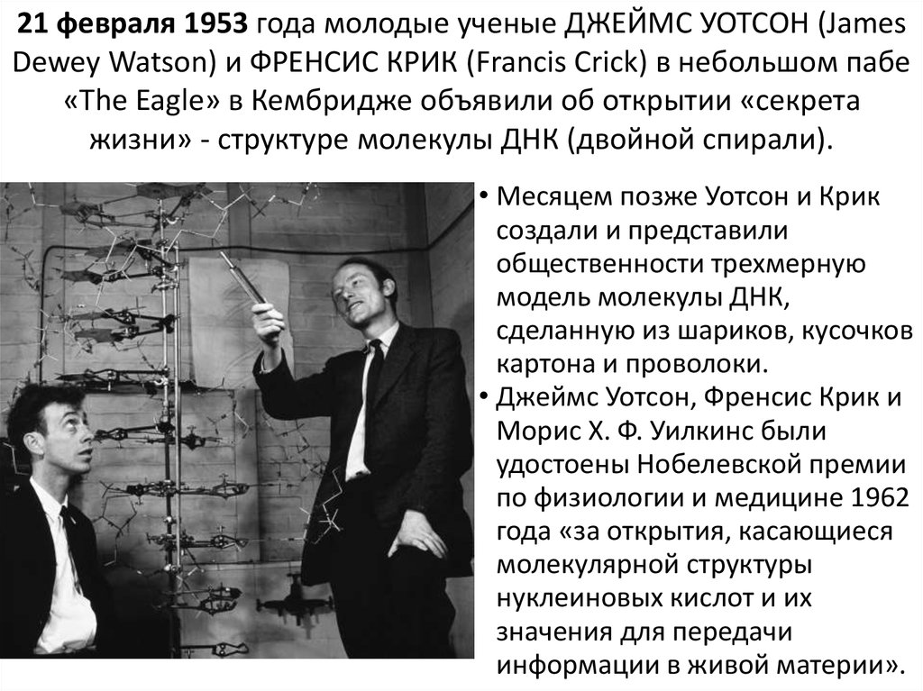 21 февраля 1953 года молодые ученые ДЖЕЙМС УОТСОН (James Dewey Watson) и ФРЕНСИС КРИК (Francis Crick) в небольшом пабе «The
