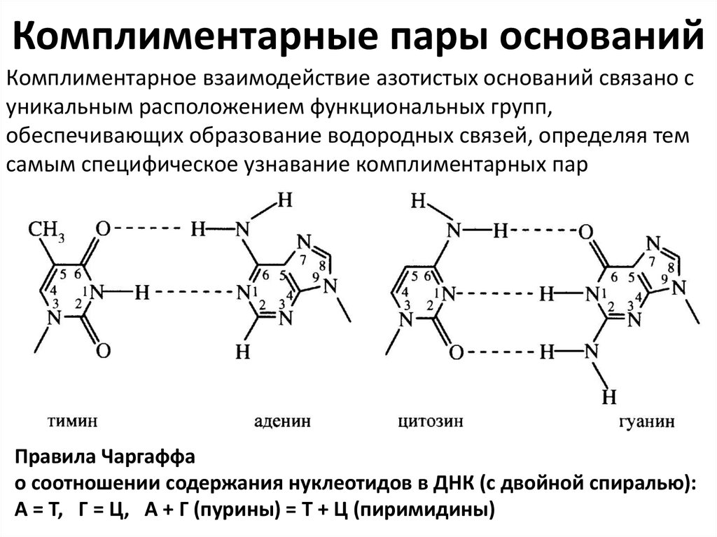 Комплиментарные слова