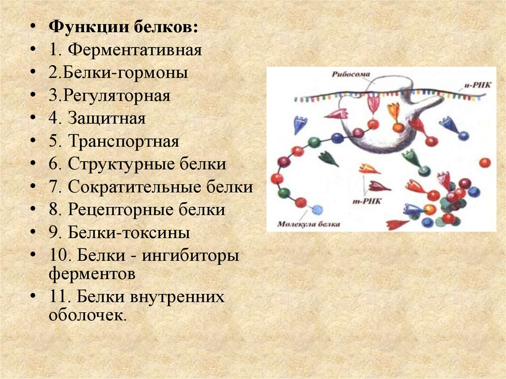 Химическая организация