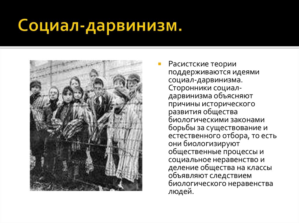 Социал дарвинизм и расизм. Каковы основные причины возникновения рас?. Объяснение происхождения рас социал дарвинизм. Теория расизма и социализации дарвинизм. Суть теории социал дарвинизма.