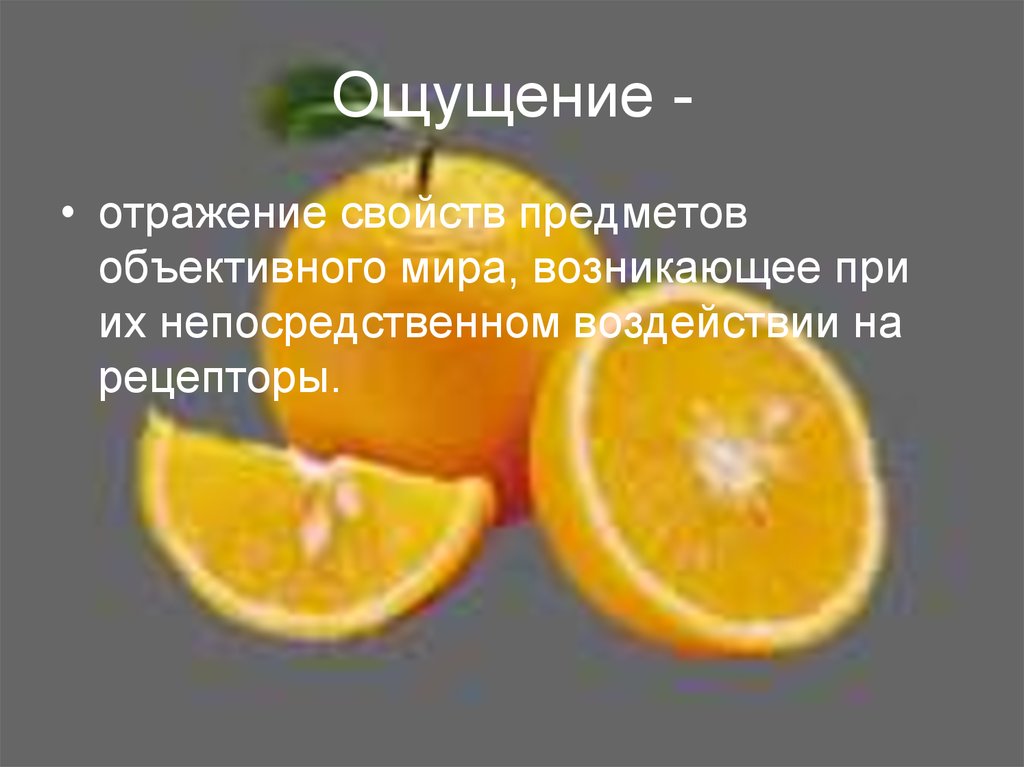 Апельсин признаки предмета. 11 ощущается