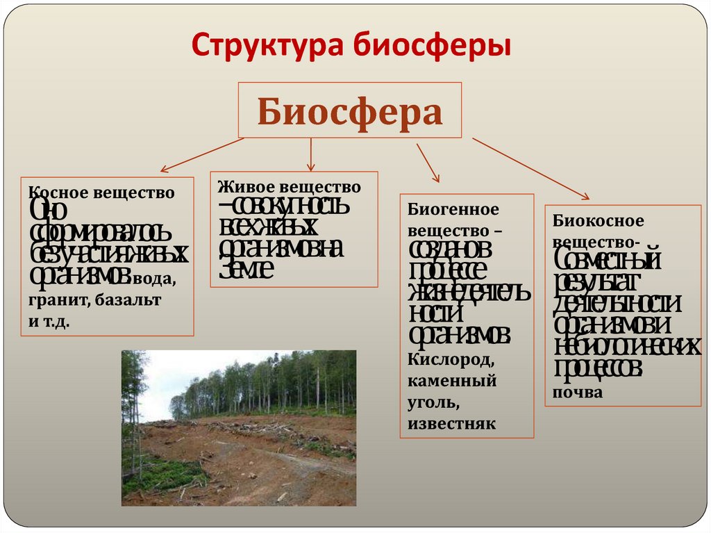 Почва какое вещество биосферы