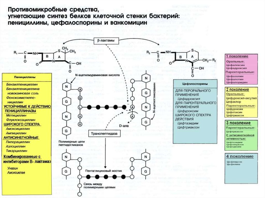 Технологическая схема производства пенициллина