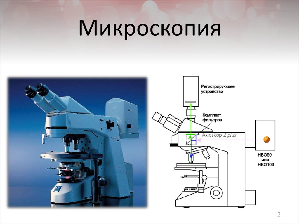 Микроскопия