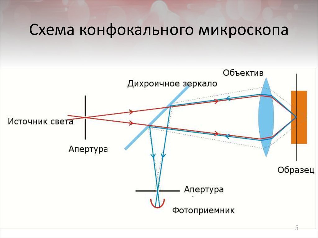 Объектив микроскопа схема