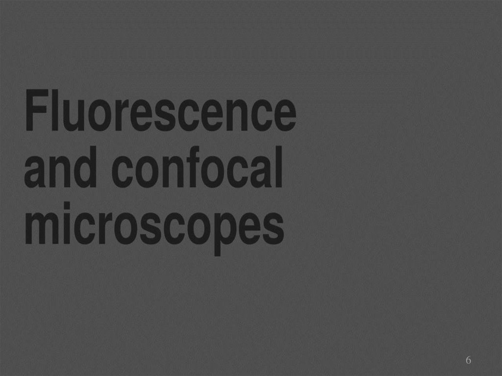 Принцип работы флуоресцентного и конфокального микроскопа