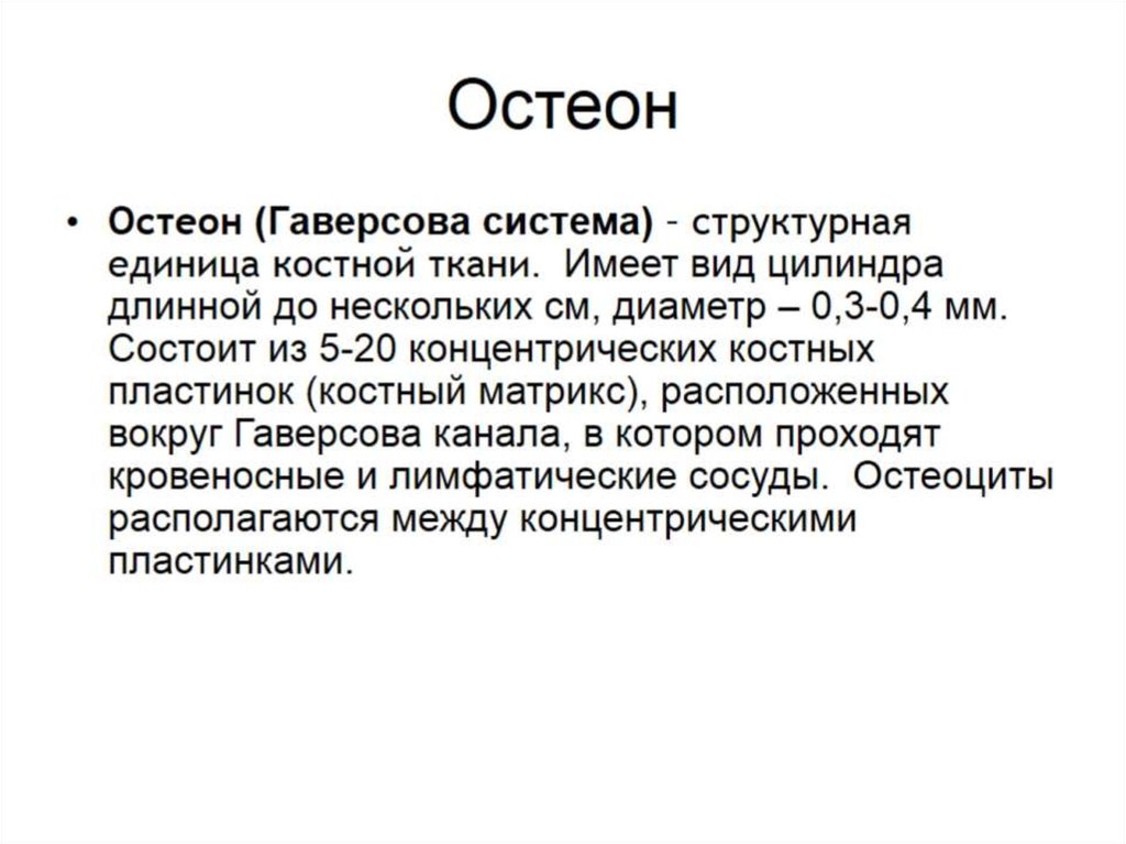 Остеон