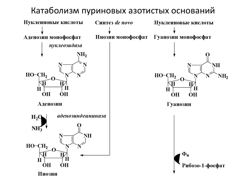 Нуклеофильная частица это