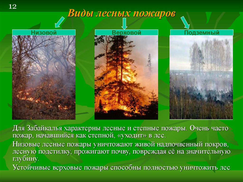 Верховые низовые подземные пожары. Виды лесных пожаров. Лесные пожары бывают трех видов. Типыподаров в лесу. Типы пожаров в лесу.