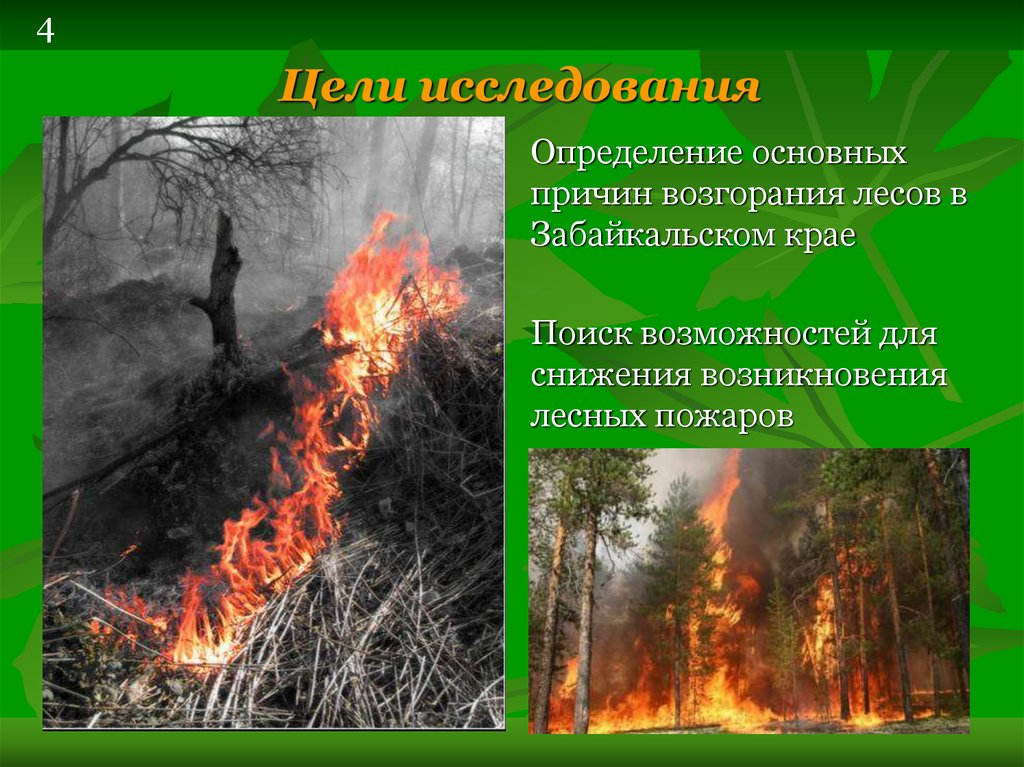 Лесной пожар 3 класс. Причины лесных пожаров. Основные причины возникновения природных пожаров. Причины ПОЖАРОВВ Леасх. Причины возникновения пожаров в лесу.