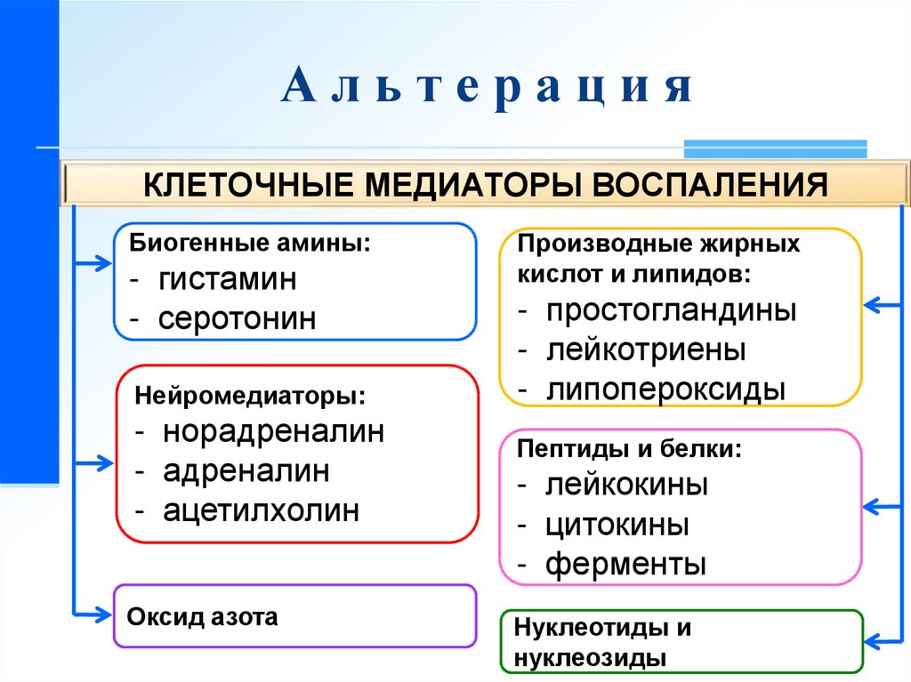 Медиаторы воспаления. Клеточные медиаторы воспаления. Медиаторы воспаления выделяются. Первичные и вторичные медиаторы воспаления. Стадия альтерации.