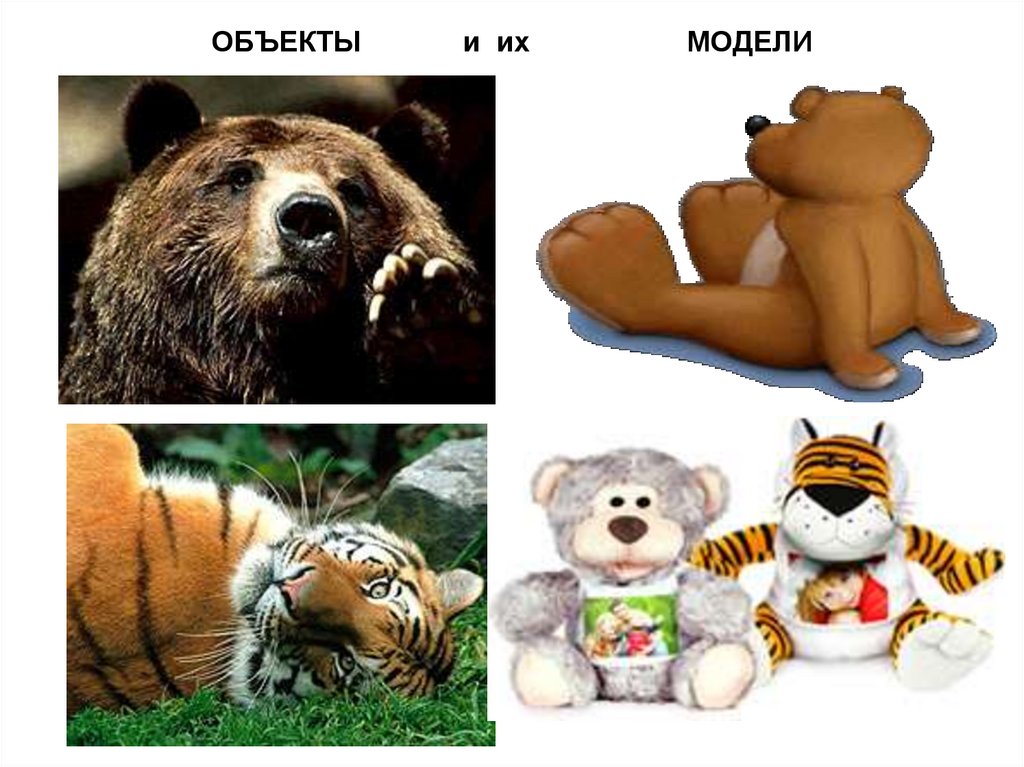 ОБЪЕКТЫ и их МОДЕЛИ