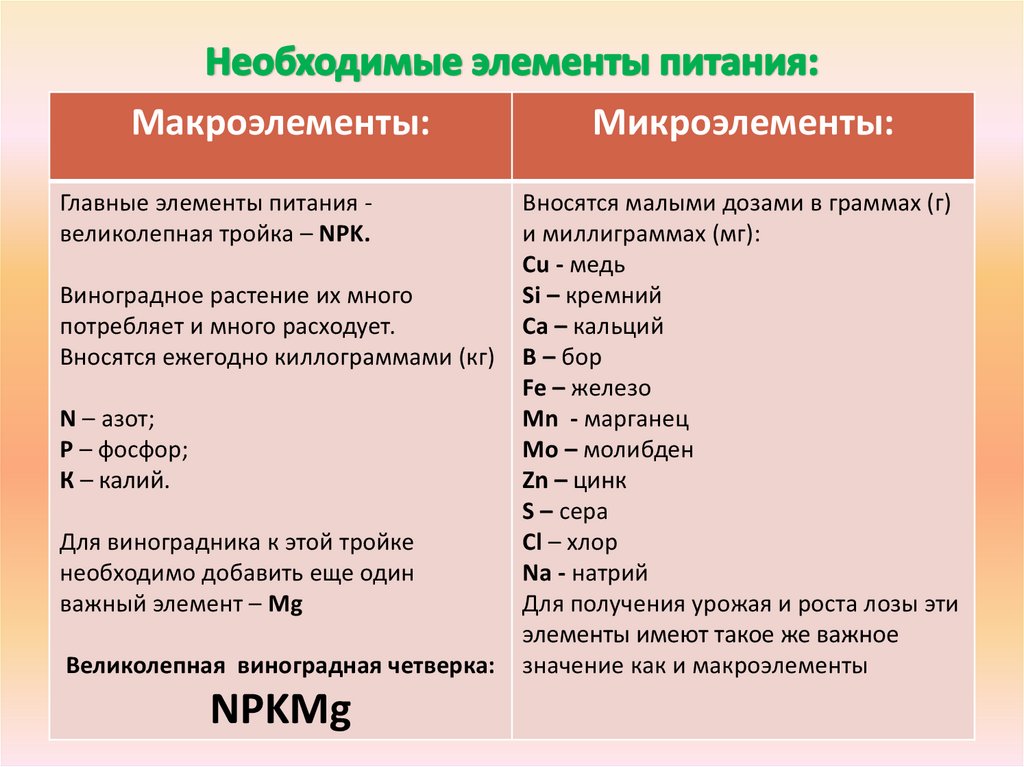 Дефицит элементов и внешность проект