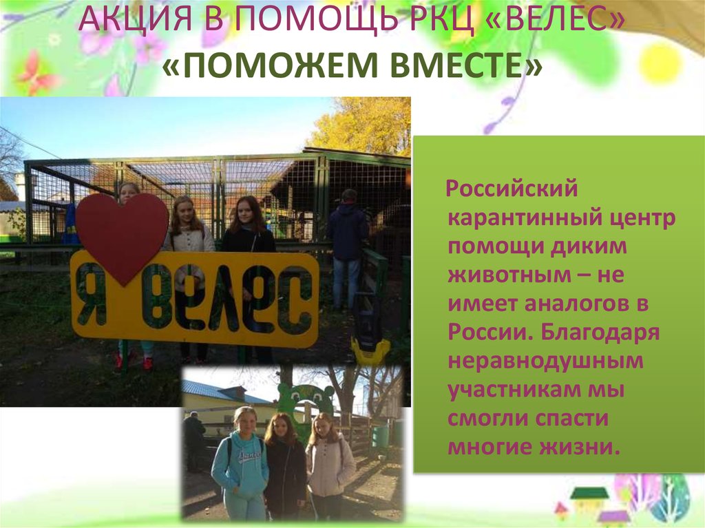 АКЦИЯ В ПОМОЩЬ РКЦ «ВЕЛЕС» «ПОМОЖЕМ ВМЕСТЕ»  