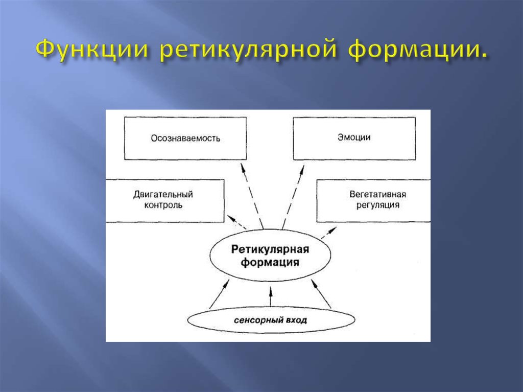 К формациям относятся