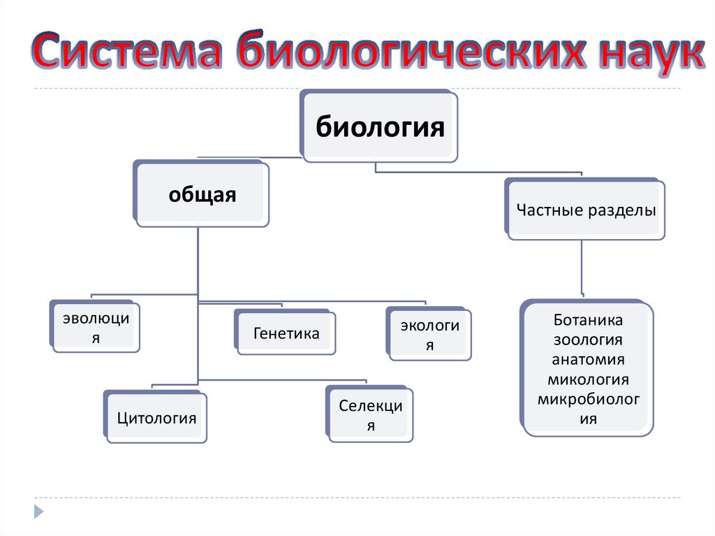 Схема наук биологии