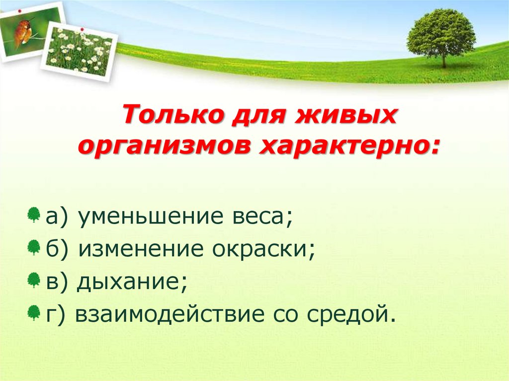 Для всех живых организмов характерно. Что характерно для живых организмов. Только для живых организмов характерны. Только для живых организмов характерно уменьшение веса.