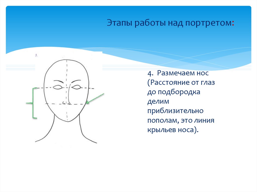 Работа над портретом. Этапы работы над портретом. Последовательность работы над портретом. Порядок работы над портретом. Последовательность работы над портретом человека.