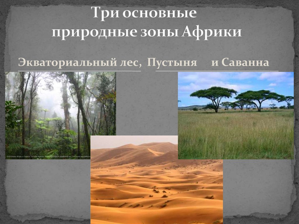 Три природный. Природные зоны Африки Саванна растительность. Природные зоны Африки субэкваториальный. Природная зона экваториального пояса Африки. Климат и природные зоны Африки.