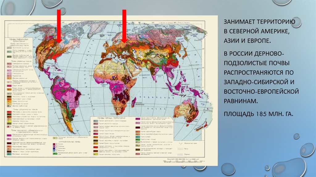 Территория занятая. Дерново-подзолистые почвы на карте мира. Дерново-подзолистые почвы на карте России. Дерново-подзолистые почвы карта. Подзолистые почвы на карте мира.