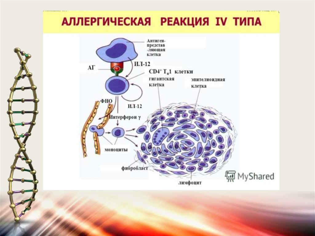 Методы аллергических реакций