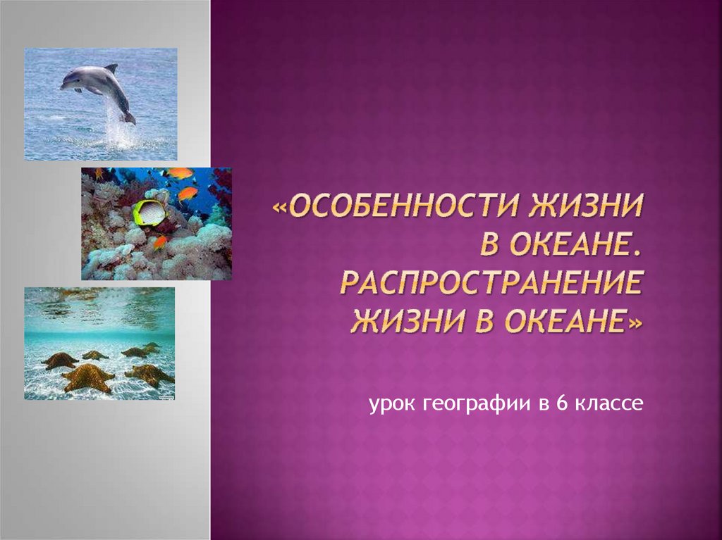 Распространение организмов в мировом океане презентация 6 класс география