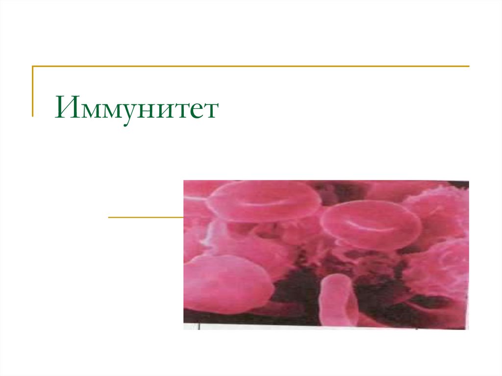 Иммунитет нарушения иммунной системы человека вакцинация 8 класс презентация пасечник