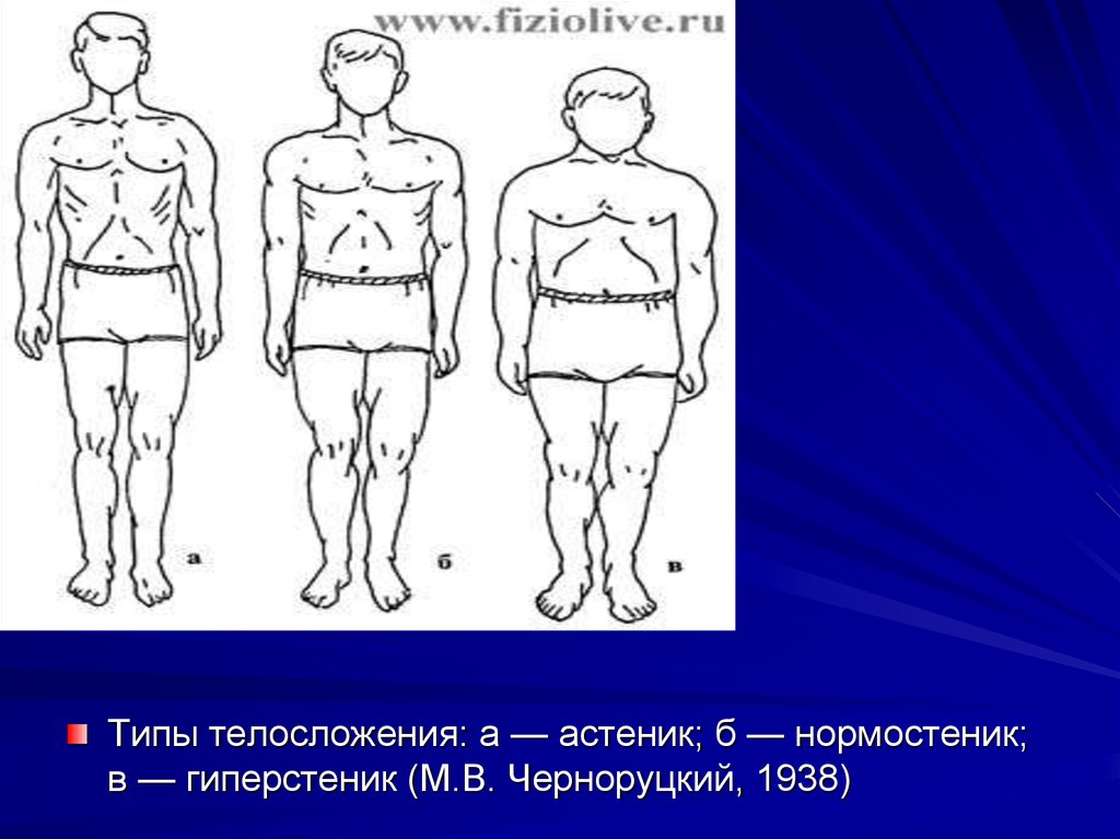 Нормостеник мужчина. Типы телосложения астеники нормостеники гиперстеники. Типы телосложения астеник нормостеник. Тип Конституции нормостеник астеник гиперстеник. Конституция тела нормостеник.