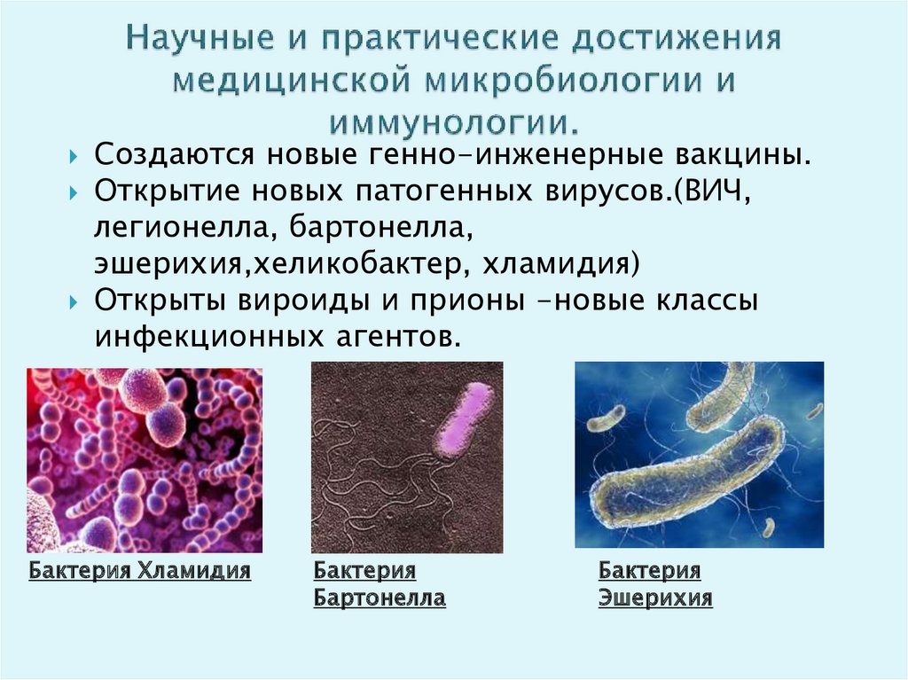 Проект бактерии древнейшая форма организмов проект 6 класс