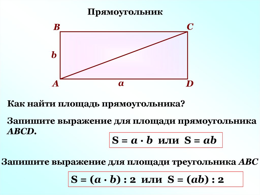 Площадь прямоугольника фото