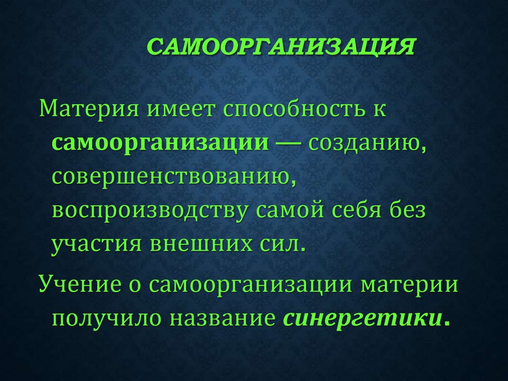 Самоорганизация в природе и обществе