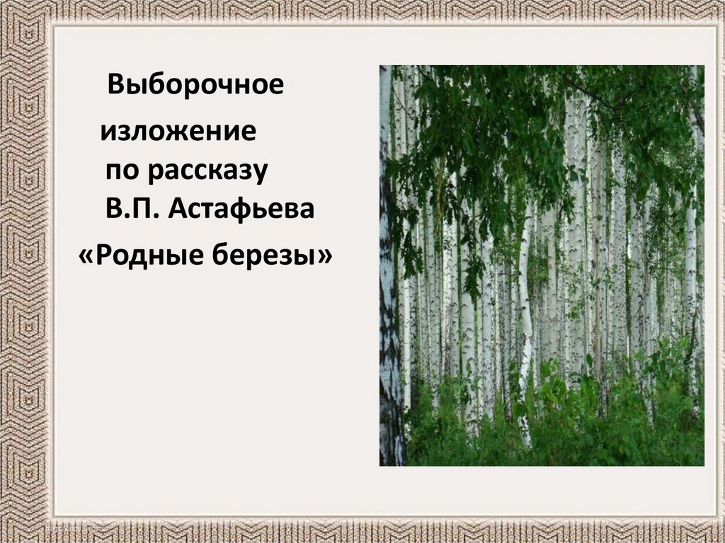 Родные березки изложение. Родные березы Астафьев план. Родные березы в. Астафьева. Астафьев три Березки.