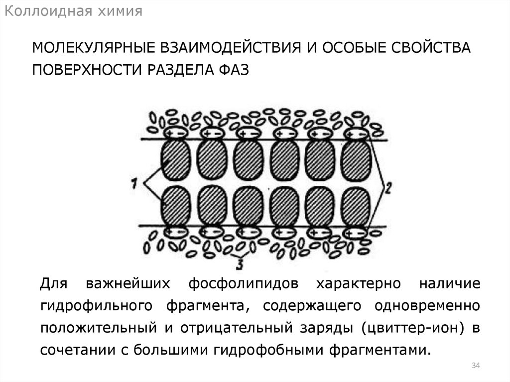 Коллоидная химия. Этапы развития коллоидной химии. Коллоид это в химии. Межфазная поверхность коллоидная химия.