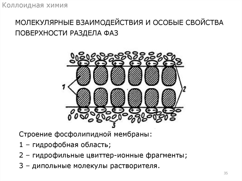 Тесты коллоидная химия