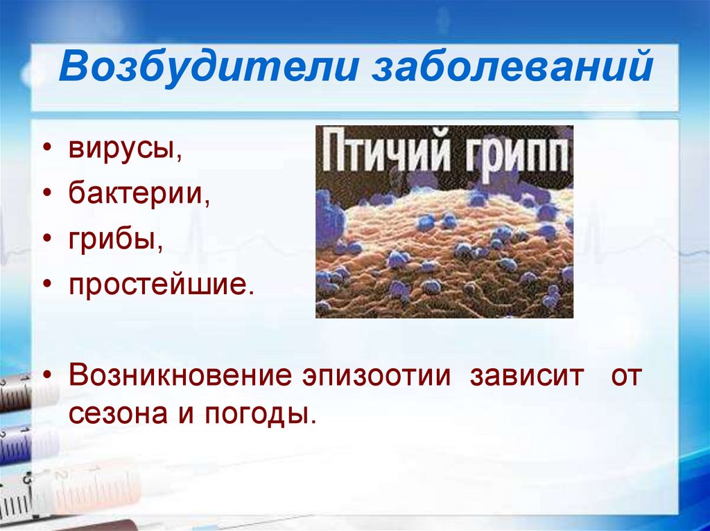 Массово распространяющее заболевание. Массовые заболевания эпидемии эпизоотии эпифитотии. Массовые заболевания людей животных и растений. Инфекционные заболевания людей, растений и животных. Массовое заболевание эпизоотии.