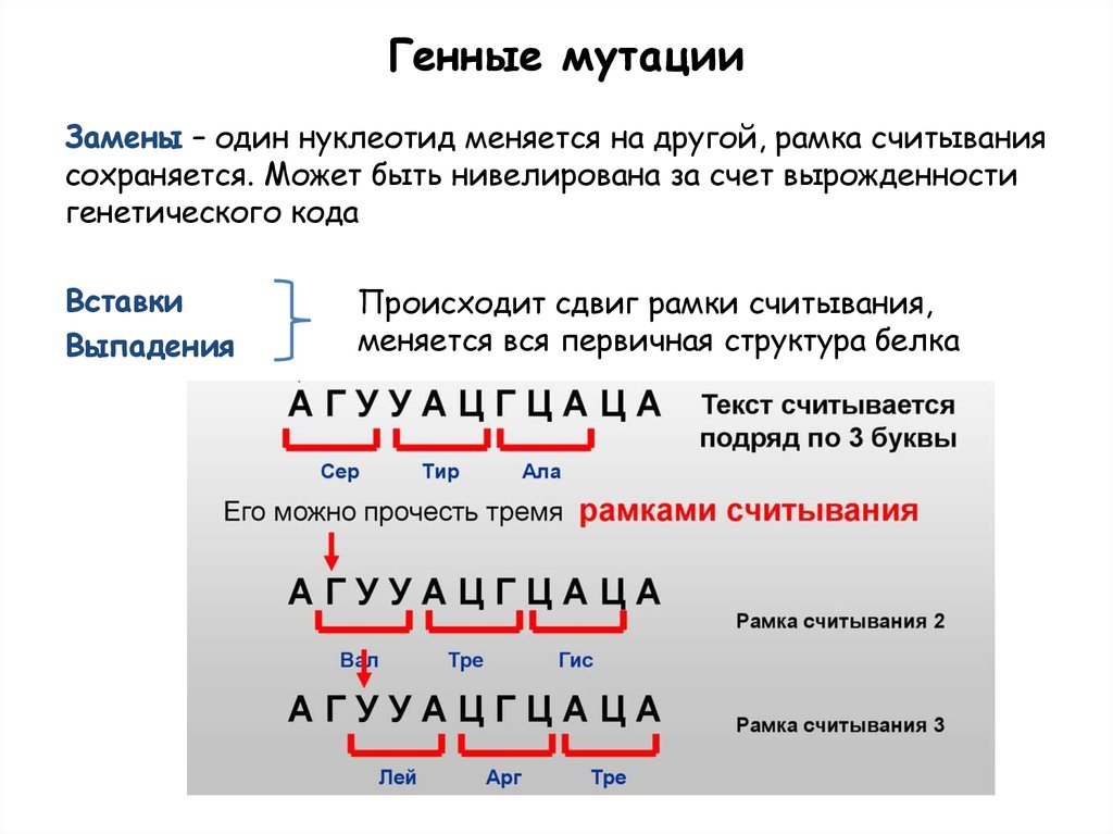 Генные мутации это. Сдвиг рамки считывания. Сдвиг рамки считывания в генной мутации. Мутации со сдвигом рамки считывания. Мутации типа сдвига рамки считывания.